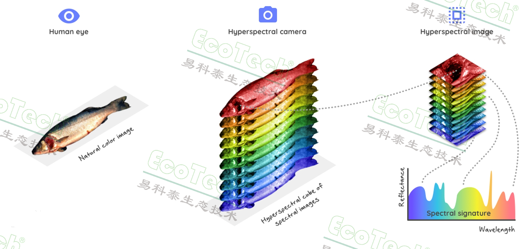 ǧӮ-qy88()ٷվ
