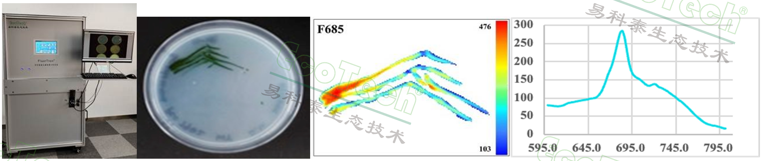 ǧӮ-qy88()ٷվ