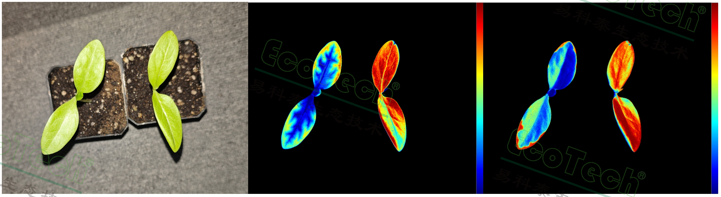 ǧӮ-qy88(¹ú¼Ê)¹Ù·½ÍøÕ¾