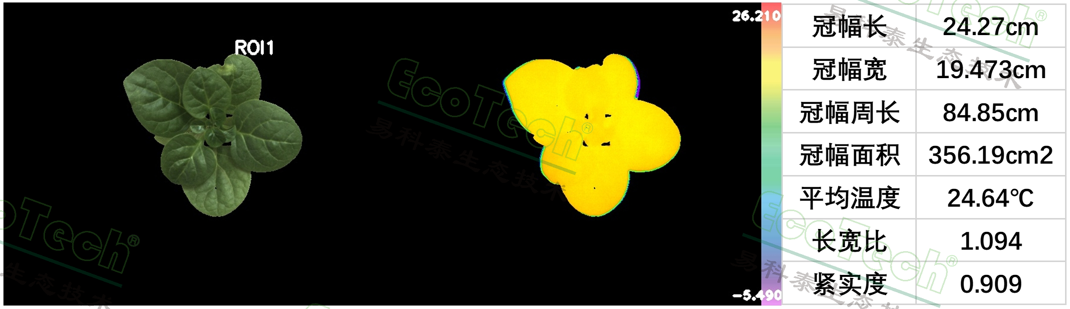 千赢-qy88(国际)官方网站