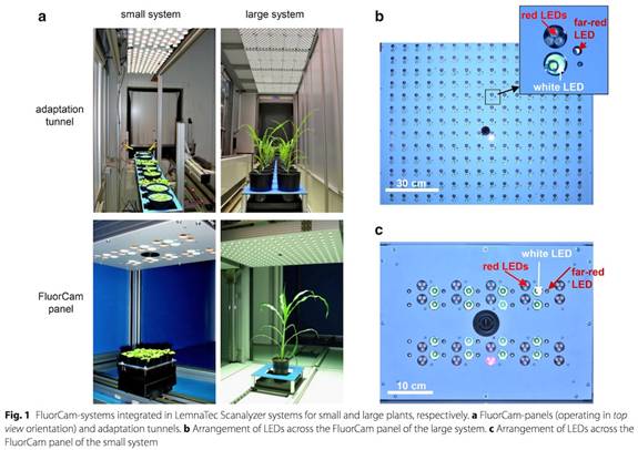 ../../../＼/ӫ⼼/PSI/Phenotyping/ο/PlantScreenο/IPK-2017/0101sm.jpg